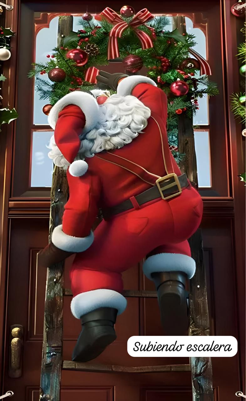 Fundas Navideñas para Puerta PREMIUM®