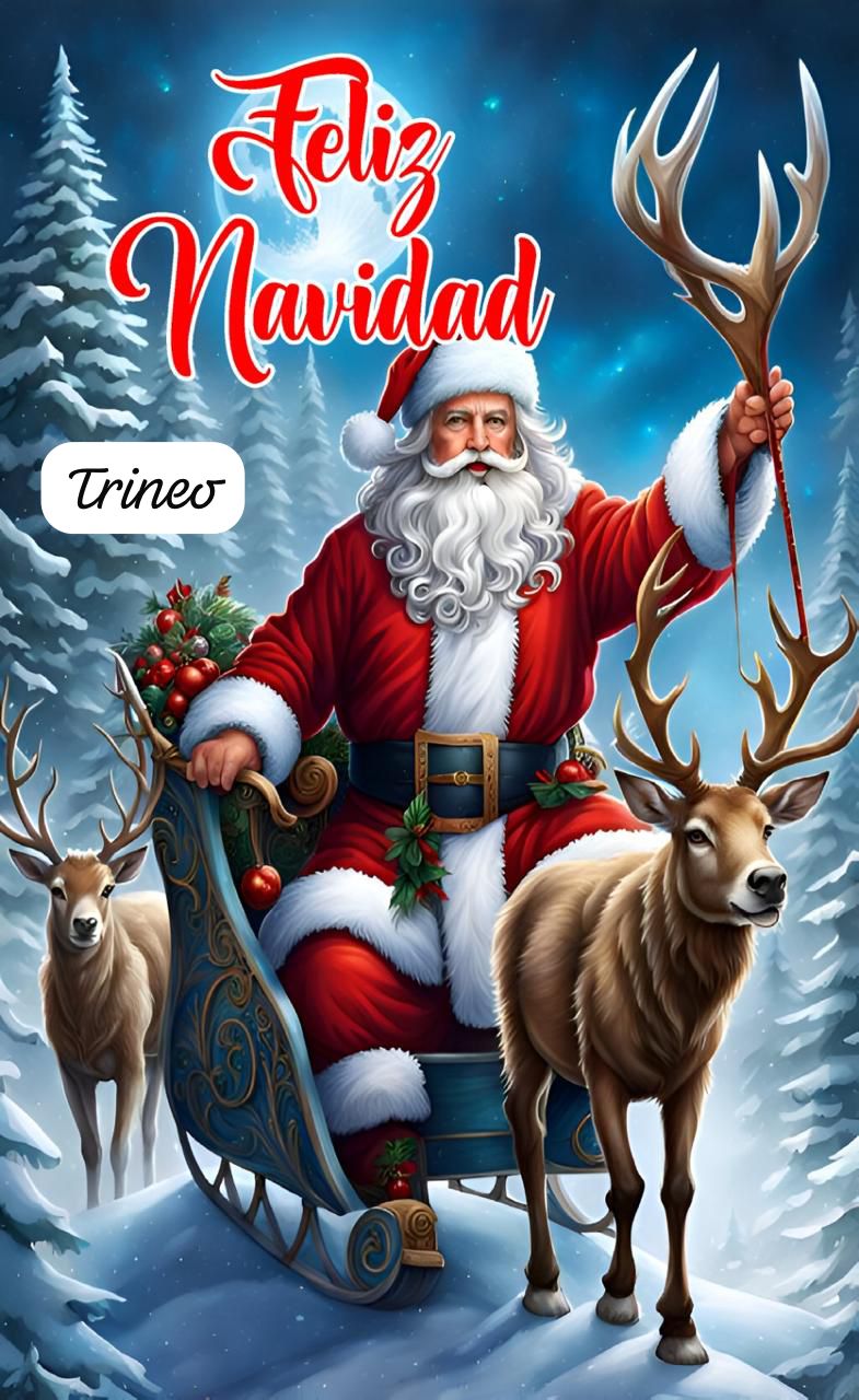 Fundas Navideñas para Puerta PREMIUM®